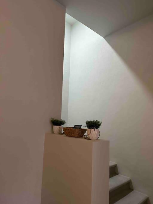 Casa Privada En Bricia * Cuernavaca
